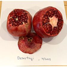 Desertnyi pomegranate fruit for sale  Carlsbad