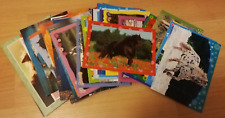 Postkarten pferde tiere gebraucht kaufen  Kolkwitz