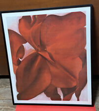 Red cannas 1927 for sale  Saint Louis