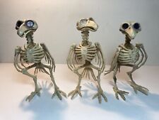 Skeleton birds ravens for sale  Knoxville