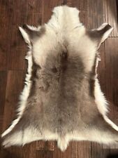 Reindeer hide rug for sale  STAFFORD