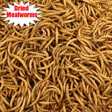 Wholesale bulk dried for sale  Ontario