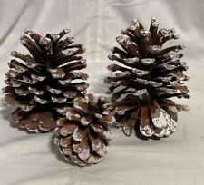 Conos de pino pintados con brillo blanco artesanía proyecto decoración exhibición navideña.  3 piezas. segunda mano  Embacar hacia Argentina