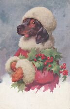 Cartão postal antigo Dachshund cachorro com visco vestido como Papai Noel 1944 comprar usado  Enviando para Brazil