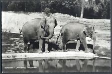 Indian elephants nuremberg for sale  UK