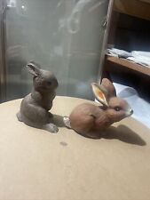 Garden bunnies for sale  Langdon