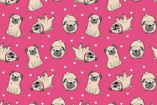 Pink pug puppies for sale  SELBY