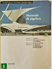 Manuale algebra bergamini usato  Vignola Falesina