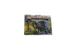 Amish Country Imã De Geladeira Lembrança Cavalo puxando Buggy 3D comprar usado  Enviando para Brazil