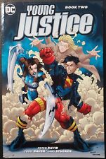 Young Justice Book Two TPB por Peter David (2018, Brochura Comercial) DC Comics comprar usado  Enviando para Brazil