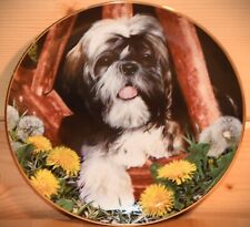 Placa de colecionador de cerâmica "Dandelion Dog" Danbury Mint's Shih Tzu Puppy Dog Series comprar usado  Enviando para Brazil