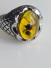 Amber insect ring for sale  HEREFORD