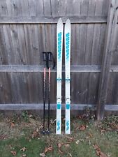 Eet21 skis poles for sale  East Greenville