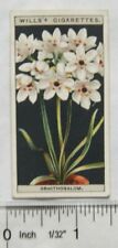 Used, 1925 Wills Flower Culture in Pots No. 38 Ornithogalum for sale  Shipping to South Africa
