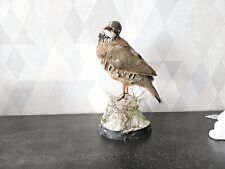 Taxidermie perdrix rouge d'occasion  Saint-Omer