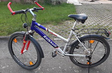 fahrrad kalkhoff damen gebraucht kaufen  Marienberg, Pobershau
