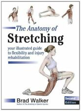 Anatomy stretching illustrated for sale  USA