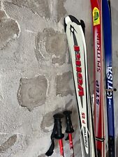 Carving ski 170 gebraucht kaufen  Bad Hersfeld