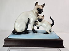 Siamese cat kitten for sale  Ridgeville