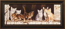 Barnyard kittens deb for sale  Onamia