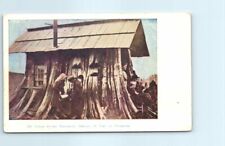 Postcard cedar stump for sale  Stevens Point