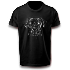 Labrador retriever hund gebraucht kaufen  Werdohl