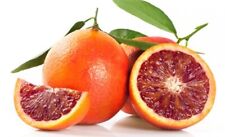 Blood orange tarocco usato  Firenze