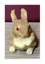 Small little bunny for sale  Franklin