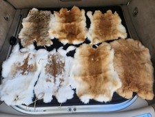 Pcs natural real for sale  Holiday