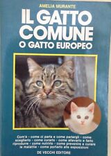 Gatto comune gatto usato  Prato