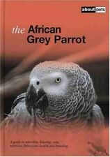 African grey parrot for sale  UK