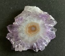 Amethyst rose see for sale  GLASGOW