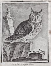 Usado, Design de desenho de pássaros corujas orelhas compridas coruja hibou 1780 comprar usado  Enviando para Brazil
