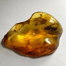amber inclusions for sale  COVENTRY