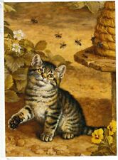 Tabby cat bee for sale  LIPHOOK