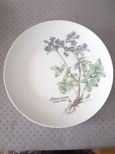 Assiette porcelaine winterling d'occasion  Dijon