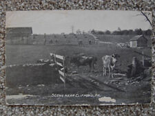 Clifford scene cows for sale  USA