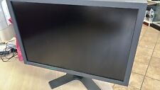 Monitor eizo flexscan usato  Saviore Dell Adamello