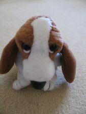 Hush puppy hound for sale  READING
