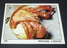 268 bernard hermite d'occasion  Vendat