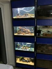 Aquarium rack for sale  ILKESTON