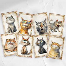 Funny cats set for sale  TORQUAY