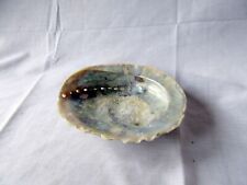 Abalone sea shell for sale  STIRLING