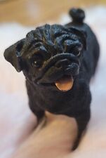 puppy black pug for sale  Bradenton