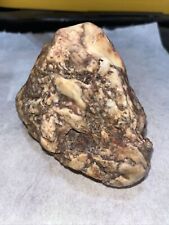 Prehistoric paleoamerican rock for sale  Gardnerville
