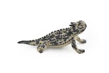 Lizard horned toad for sale  Bremerton