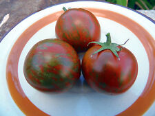 Cal red green for sale  Espanola