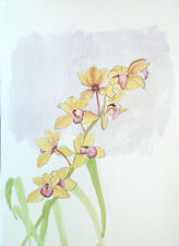 Spray cymbidium orchids for sale  TYWYN