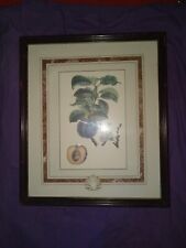 Sighned vintage botanical for sale  Daytona Beach