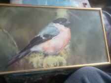 Finch painting for sale  WARRINGTON